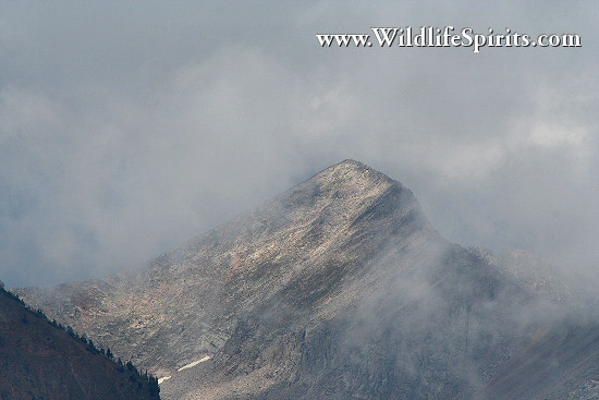Click Picture to send as an  E-PostCard 65k 550x367